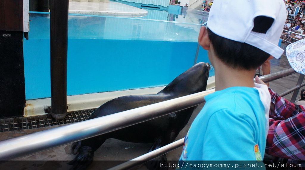 2014.08.28~29 花蓮遠雄悅來飯店 玩遠雄海洋公園 (165).JPG