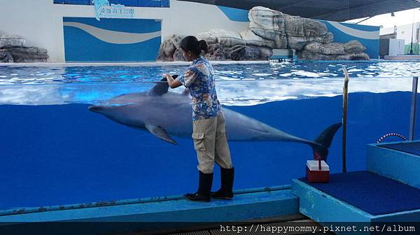 2014.08.28~29 花蓮遠雄悅來飯店 玩遠雄海洋公園 (180).JPG