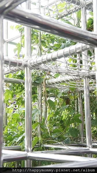 2015.10.31 天母萬聖節 (35).JPG