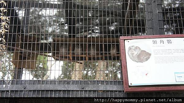 2015.11.29 新竹動物園 (1).JPG