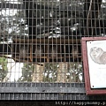 2015.11.29 新竹動物園 (1).JPG