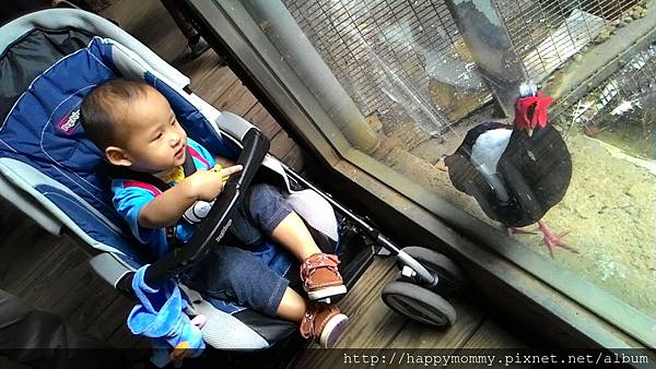 2015.11.29 新竹動物園 (21).jpg