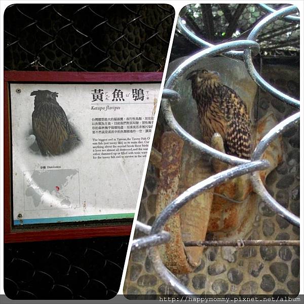 2015.11.29 新竹動物園 (24).jpg