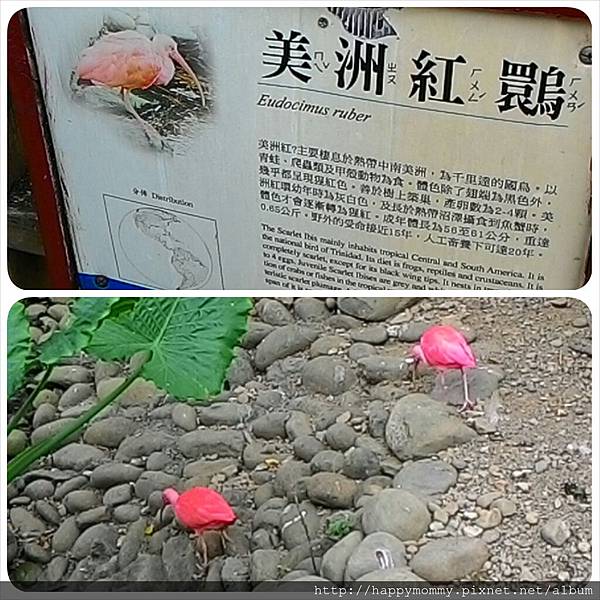 2015.11.29 新竹動物園 (25).jpg