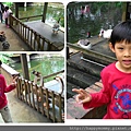 2015.11.29 新竹動物園 (27).jpg