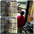 2015.11.29 新竹動物園 (30).jpg