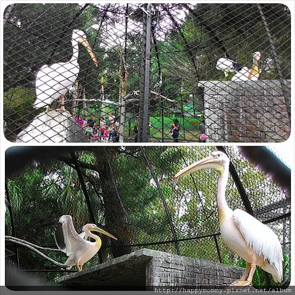 2015.11.29 新竹動物園 (28).jpg