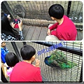 2015.11.29 新竹動物園 (31).jpg