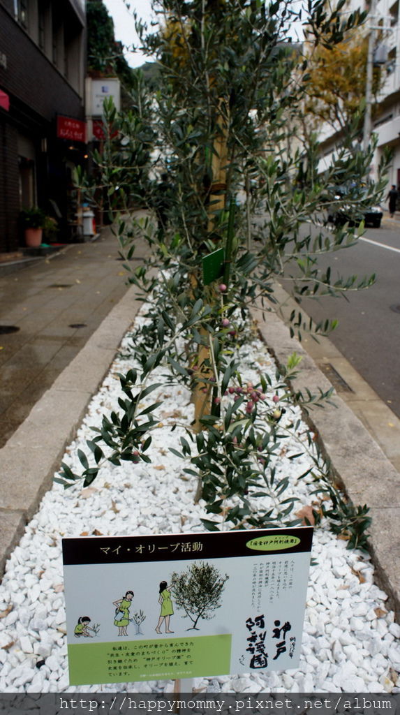 2015.12.15 搭cityloop 遊神戶 北野異人館 神戶塔 馬賽克廣場星巴克 (100).jpg 2015.12.15 搭cityloop 遊神戶 北野異人館 神戶塔 馬賽克廣場星巴克 (100).jpg