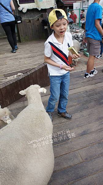 2016.04.23 南投之旅 清境農場 青青草原 (10).JPG