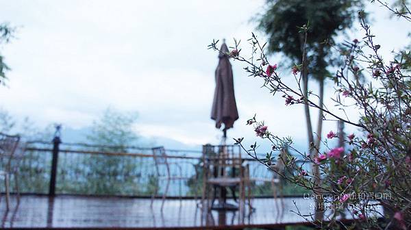 2016.04.23 南投之旅 清境農場 清境白雲山莊 (28).JPG