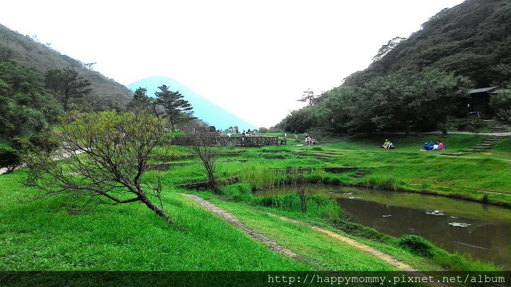 2016.06.25 陽明山 二子坪步道 (11).jpg 2016.06.25 陽明山 二子坪步道 (11).jpg