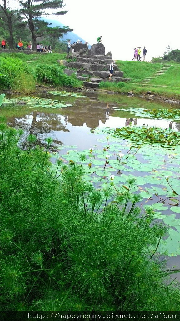 2016.06.25 陽明山 二子坪步道 (16).jpg 2016.06.25 陽明山 二子坪步道 (16).jpg