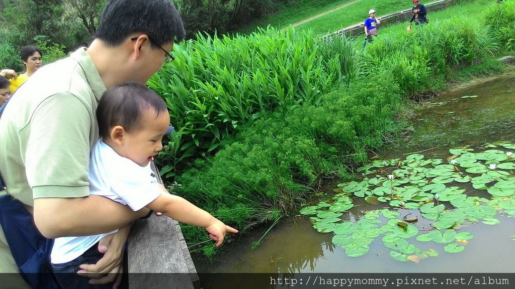 2016.06.25 陽明山 二子坪步道 (15).jpg 2016.06.25 陽明山 二子坪步道 (15).jpg