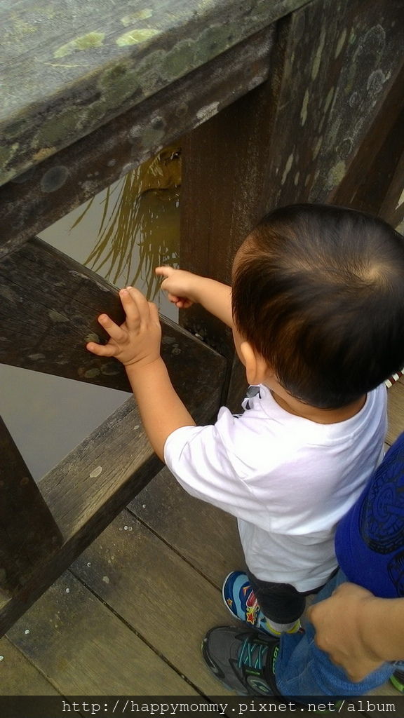 2016.06.25 陽明山 二子坪步道 (17).jpg 2016.06.25 陽明山 二子坪步道 (17).jpg