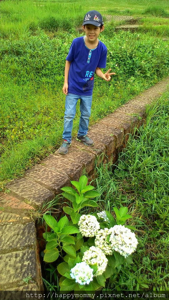 2016.06.25 陽明山 二子坪步道 (13).jpg 2016.06.25 陽明山 二子坪步道 (13).jpg