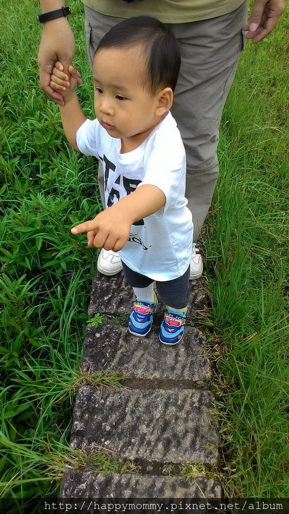 2016.06.25 陽明山 二子坪步道 (14).jpg 2016.06.25 陽明山 二子坪步道 (14).jpg