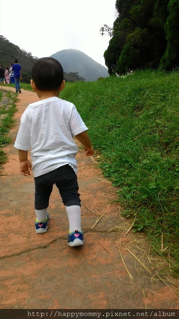 2016.06.25 陽明山 二子坪步道 (18).jpg 2016.06.25 陽明山 二子坪步道 (18).jpg