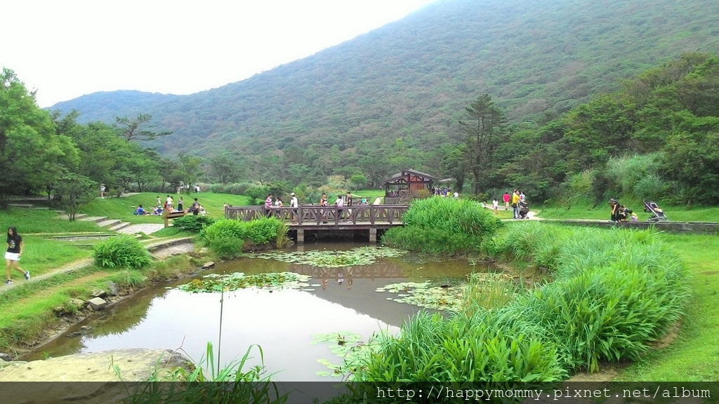 2016.06.25 陽明山 二子坪步道 (22).jpg 2016.06.25 陽明山 二子坪步道 (22).jpg