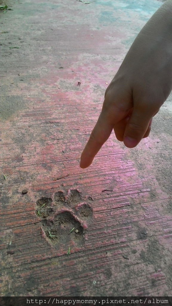 2016.06.25 陽明山 二子坪步道 (4).jpg 2016.06.25 陽明山 二子坪步道 (4).jpg