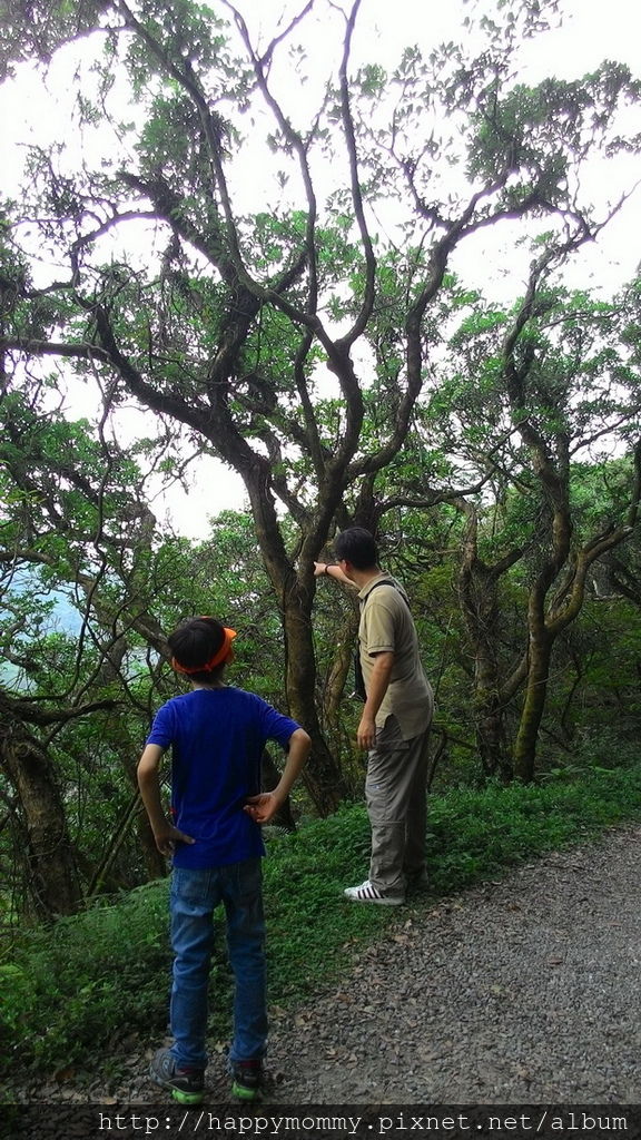 2016.06.25 陽明山 二子坪步道 (3).jpg 2016.06.25 陽明山 二子坪步道 (3).jpg