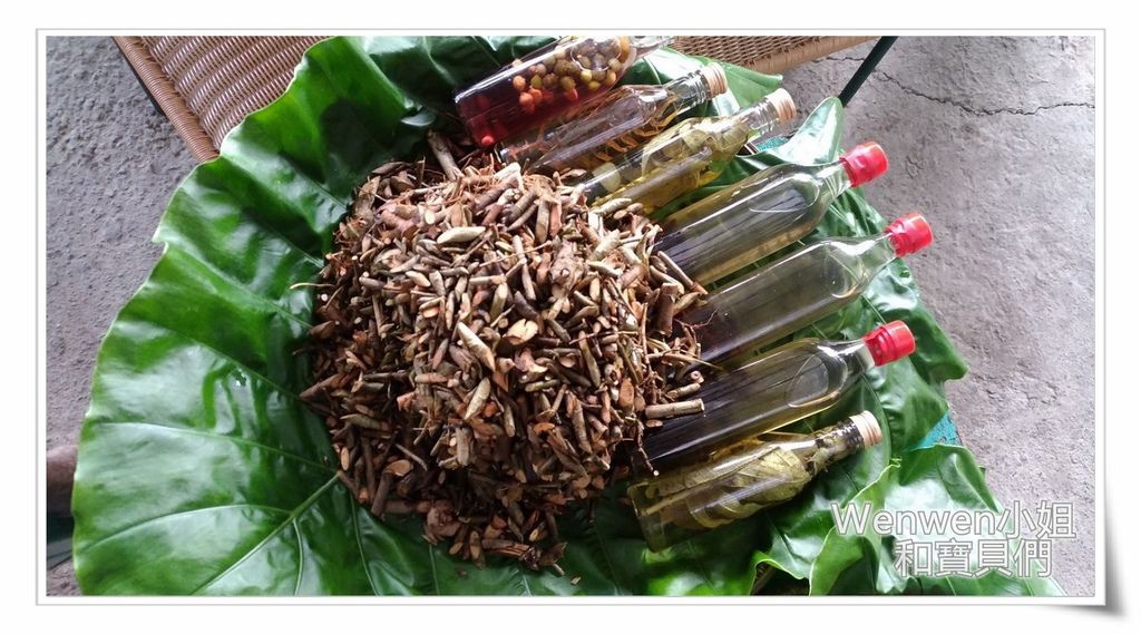 2016.10 一日泰雅人 烏來原住民部落體驗活動 (8).jpg 2016.10 一日泰雅人 烏來原住民部落體驗活動 (8).jpg