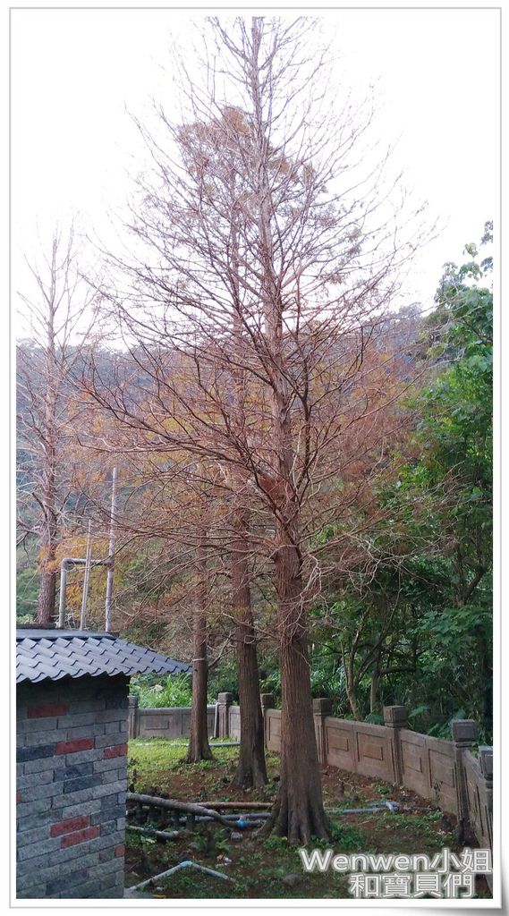 2017.01.22.貴子坑水土保持教學園區 (23).jpg 2017.01.22.貴子坑水土保持教學園區 (23).jpg