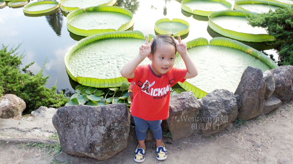 2017.08.10 雙溪公園看大王蓮 (50).JPG