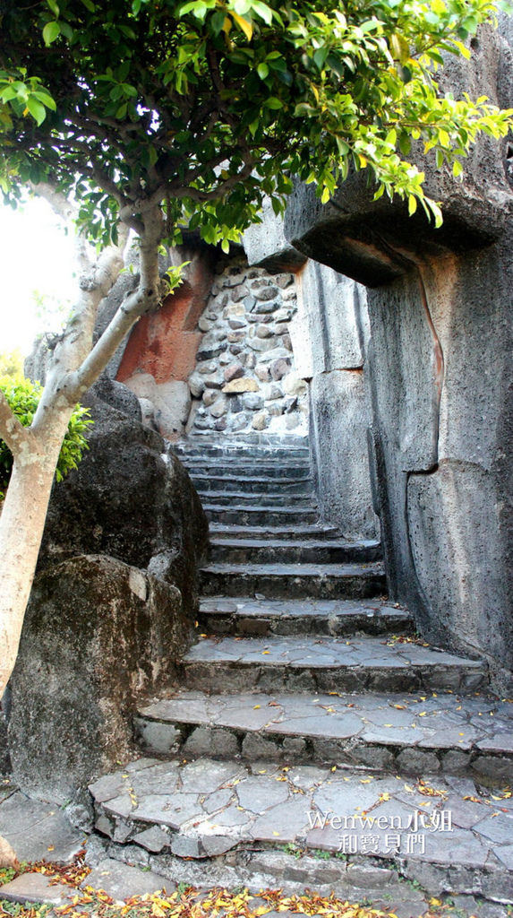 2017.08.10 雙溪公園看大王蓮 (15).jpg