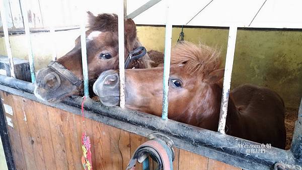 2017.07.22 板橋 馬德里馬場 (8).jpg