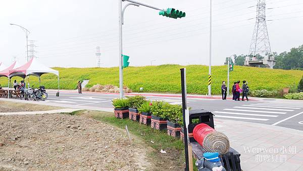 2018.01.04 關渡花海節 花況 (11).jpg