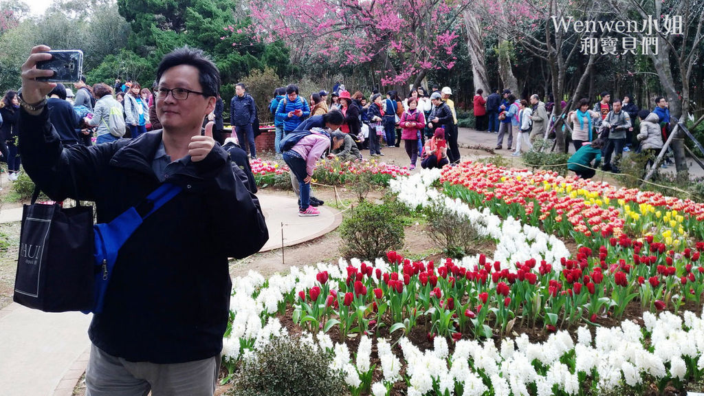 2018.01.27 陽明山花卉試驗所 賞山櫻花山櫻花 鬱金香花田 (47).jpg