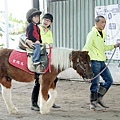 2018.02.14 板橋馬德里馬場 騎馬體驗及披薩DIY (16).JPG