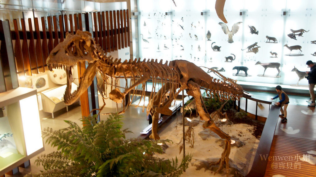 2024更新好玩的【大台北室內親子景點/親子活動懶人包】超 2024更新好玩的【大台北室內親子景點/親子活動懶人包】超