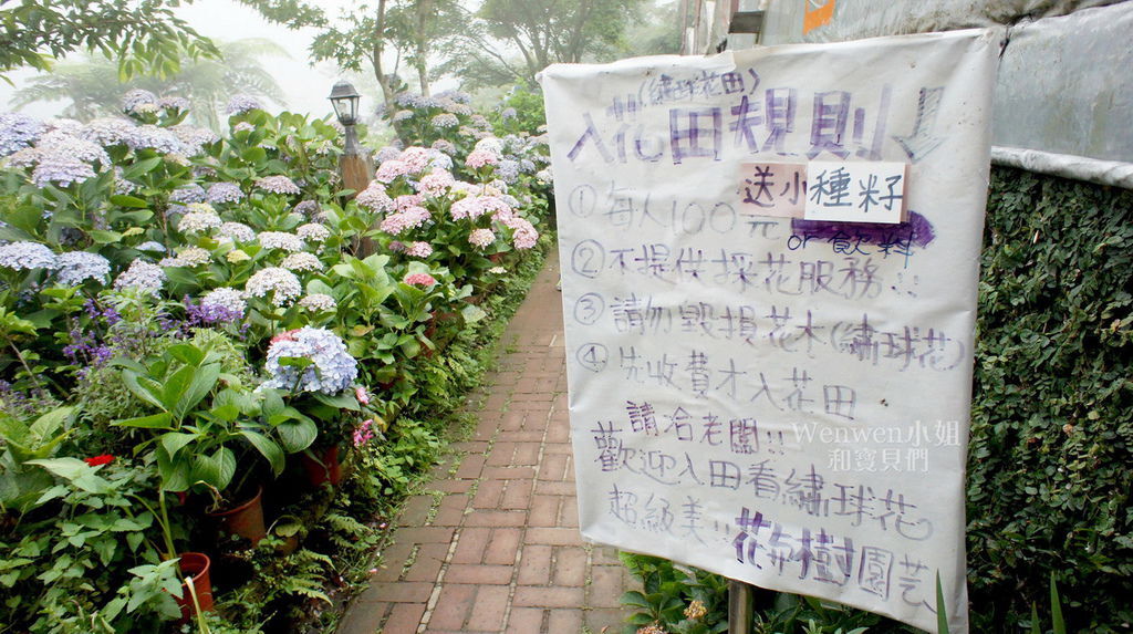 2018.06.03 陽明山竹子湖繡球花季  花與樹園藝 (1).JPG