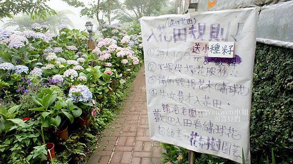 2018.06.03 陽明山竹子湖繡球花季  花與樹園藝 (1).JPG