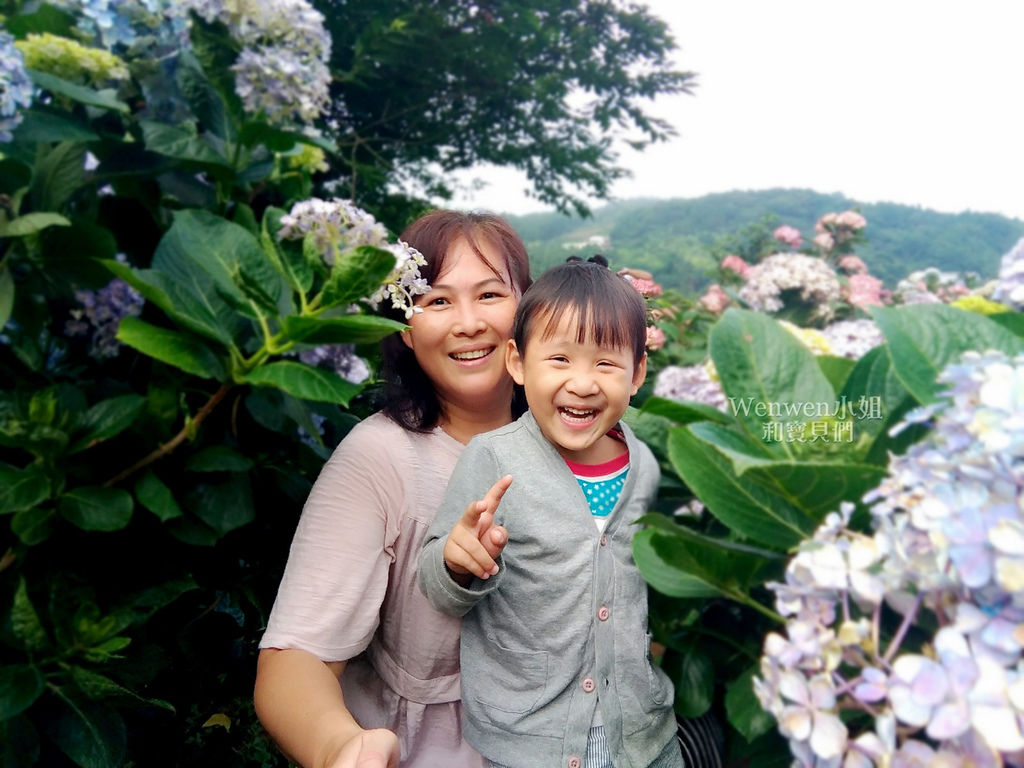 2018.06.03 陽明山竹子湖繡球花季  花與樹園藝 (16).jpg