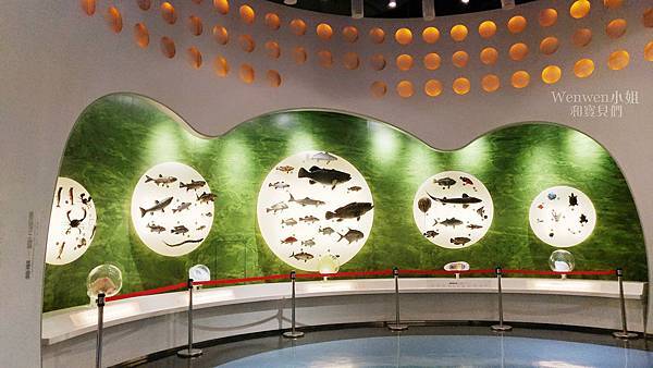 2017.12.31 基隆海科館 國立海洋科技博物館 (26).jpg