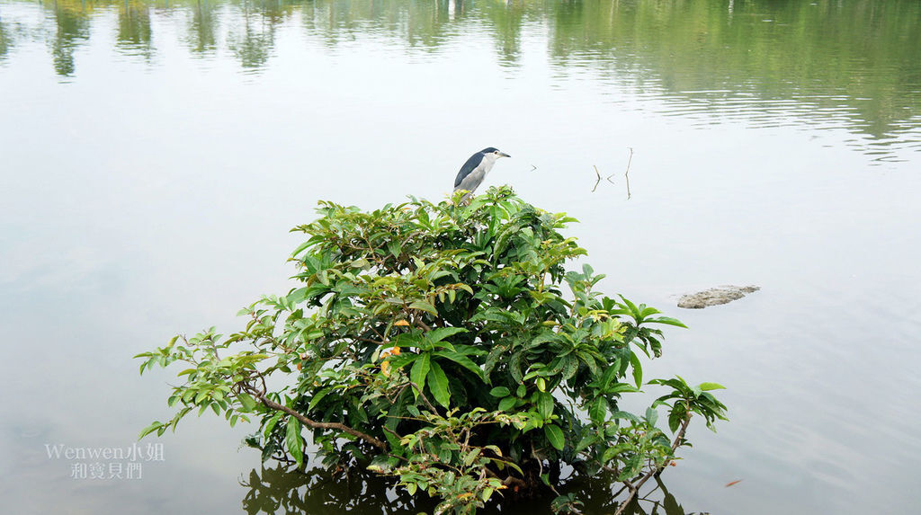 2018.09.08 礁溪長榮鳳凰酒店 龍潭湖步道健行 (2).JPG