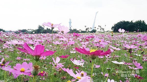 2018.11.16 關渡花海秘境 (11).jpg