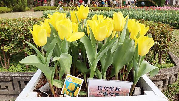 2018.02.21 士林官邸鬱金香展  (42).JPG