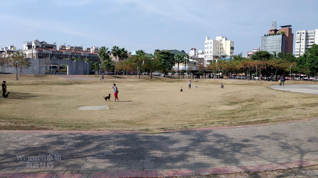 2019 嘉義市文化公園 諸羅樹蛙共融遊戲場 (27).jpg