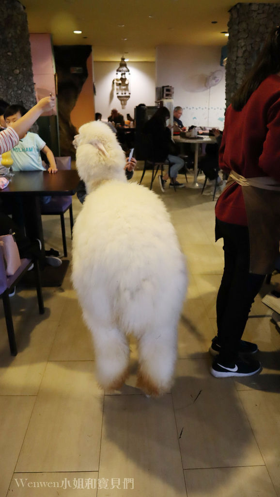 2019.03.01 三芝草泥馬餐廳 歐亞藝術咖啡 (7).JPG 2019.03.01 三芝草泥馬餐廳 歐亞藝術咖啡 (7).JPG