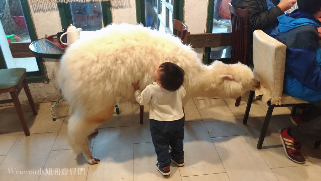 2019.03.01 三芝草泥馬餐廳 歐亞藝術咖啡 (16).jpg