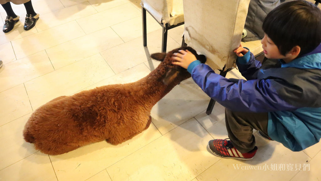 2019.03.01 三芝草泥馬餐廳 歐亞藝術咖啡 (17).JPG