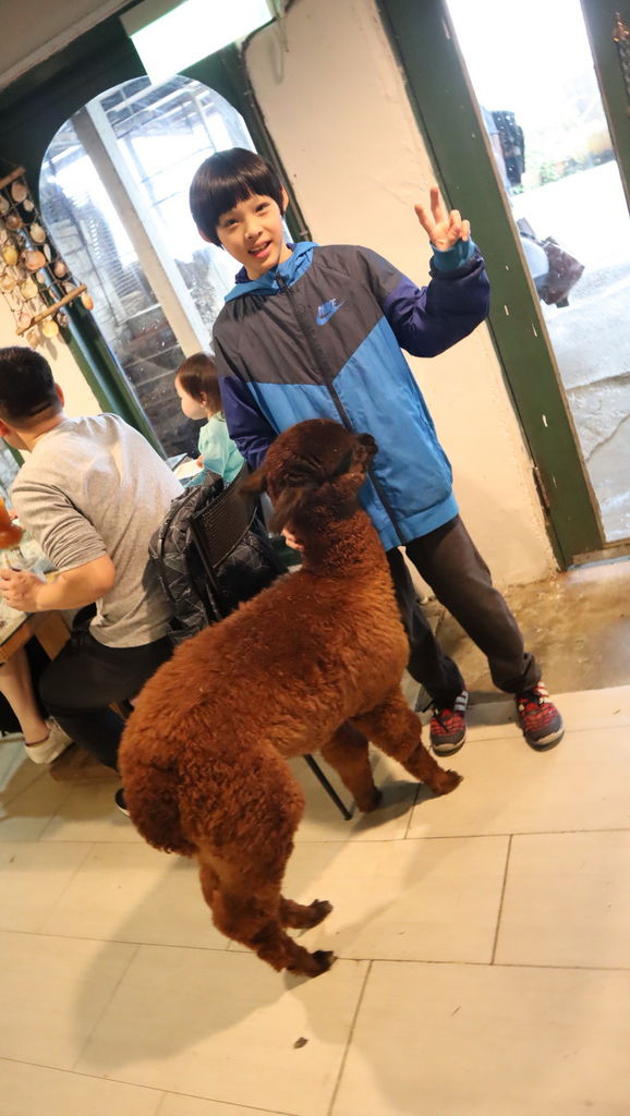 2019.03.01 三芝草泥馬餐廳 歐亞藝術咖啡 (18).JPG 2019.03.01 三芝草泥馬餐廳 歐亞藝術咖啡 (18).JPG