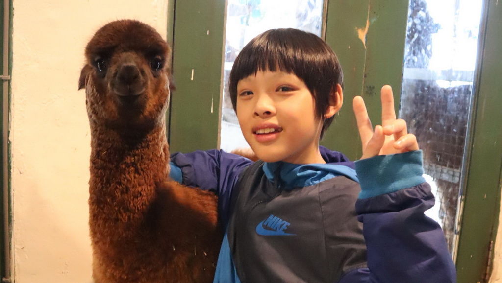 2019.03.01 三芝草泥馬餐廳 歐亞藝術咖啡 (19).jpg 2019.03.01 三芝草泥馬餐廳 歐亞藝術咖啡 (19).jpg