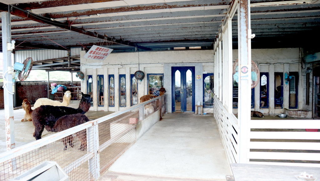 2019.03.01 三芝草泥馬餐廳 歐亞藝術咖啡 (21).JPG 2019.03.01 三芝草泥馬餐廳 歐亞藝術咖啡 (21).JPG