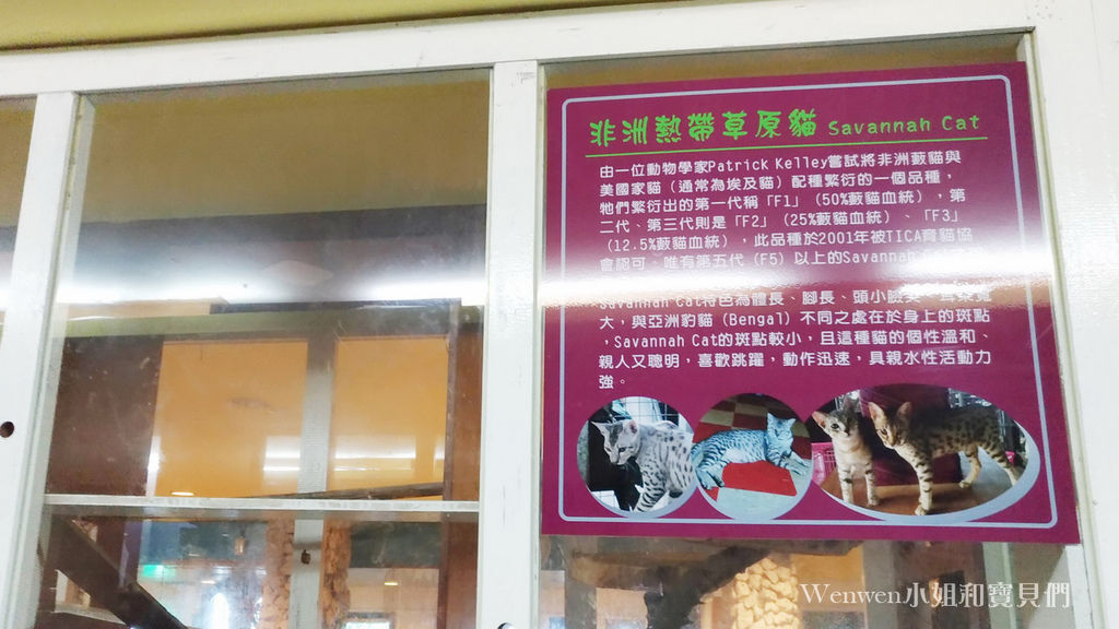 2019.03.01 三芝草泥馬餐廳 歐亞藝術咖啡 (3).jpg 2019.03.01 三芝草泥馬餐廳 歐亞藝術咖啡 (3).jpg