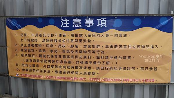 2019.03 宜蘭礁溪室內親子景點 金車生技水產養殖研發中心 鯊魚魟魚小丑魚 (32).JPG